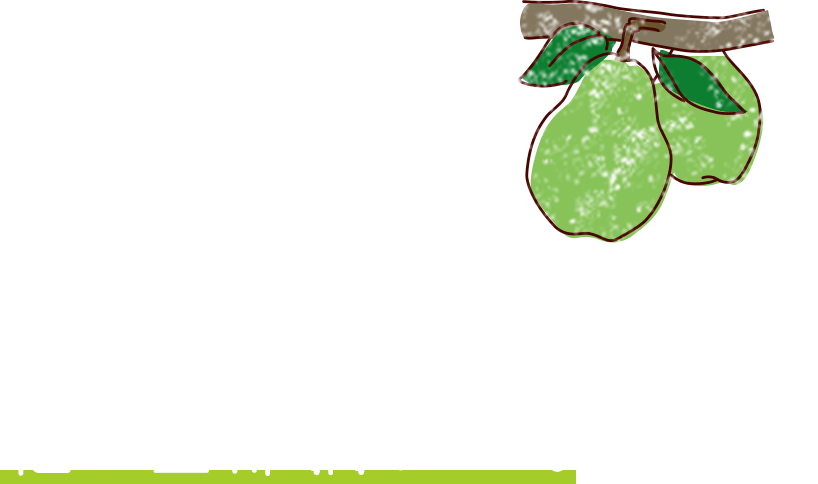 果実を大きく太らせるために、2、3、4番目あたりの花を残して、他は全部摘みとる。
