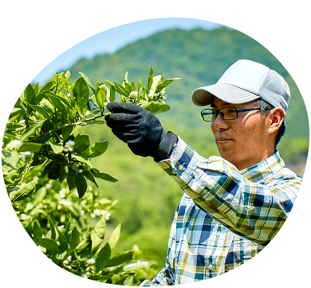 手間ひまかけて育てる⁄!