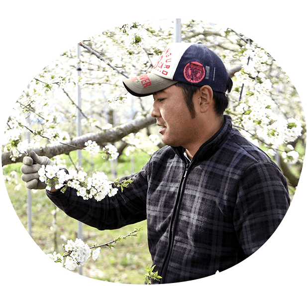 受粉は蜂と人の共同作業!