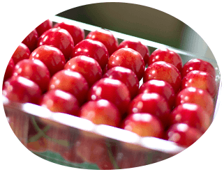 丁寧に美しくパック詰め!