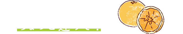 ふつうのみかんとは、ちょっと違うぞ!