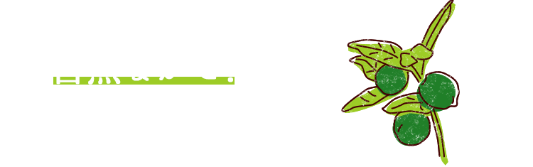 自然まかせ!で育つ、おおらかで、おいしいシークヮーサー!