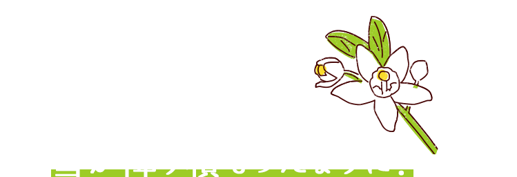 白花が散ると雪が降り積もったように!