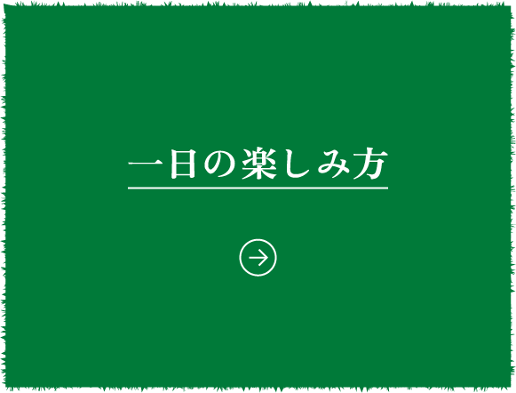 一日の楽しみ方