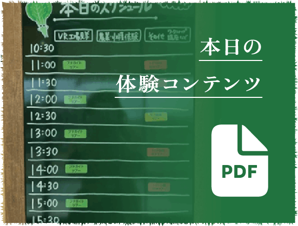本日の体験コンテンツ